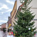 ���� �������, �����-��������� - ��������� 3 ������ 2024 � ������ ���� ����������
