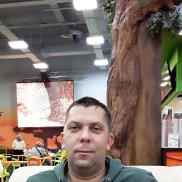 , 41, 