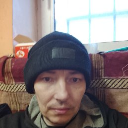 ����, 41 ���, ���