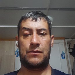 , 43, 