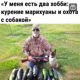 , , 81 