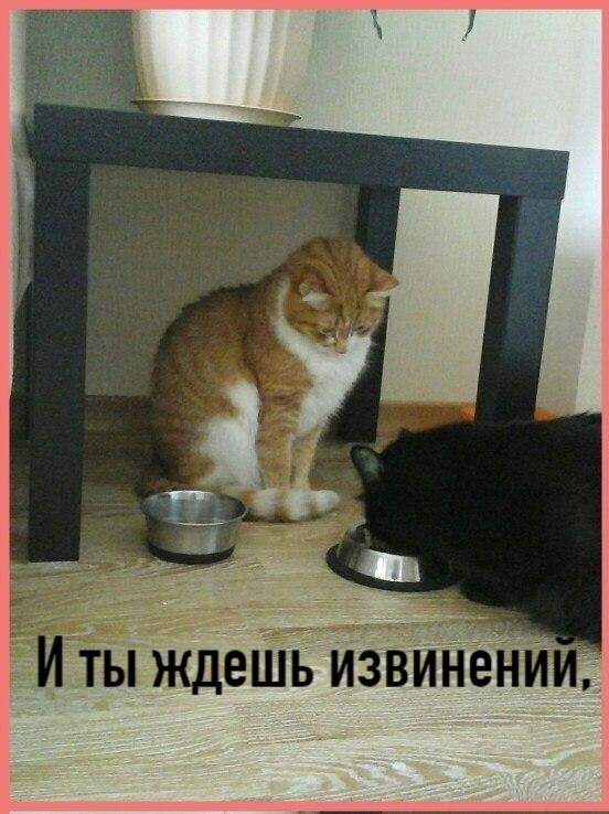       - 28  2025  12:46 - 2