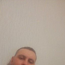 ���� ������, �����-���������, 40 ��� - ��������� 8 ����� 2026