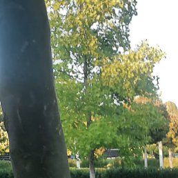 �����, �����, 52 ����