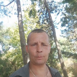 , 37, --