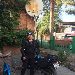 ���� ���, ������������, 49 ��� - ��������� 26 ������ 2023