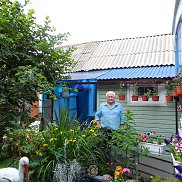 , 84 , 