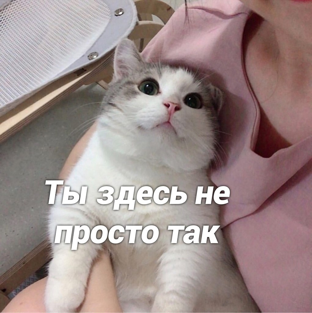      - 2
