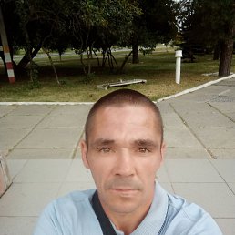 , 37, 
