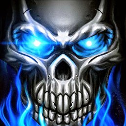 ����, �������, 43 ����