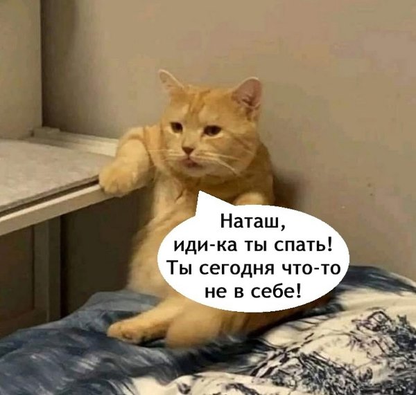   - 28  2025  15:11 - 3