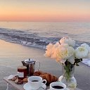 ���� Zolotarev, ������� - ��������� 29 ���� 2024 � ������ ������ ��������