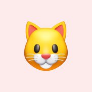 �������, 22 ����, ������