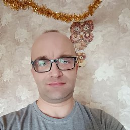 �����, 42 ����, ���������