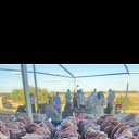 ���� ����, ������-��-����, 58 ��� - ��������� 7 ������� 2025 � ������ ���� ����������