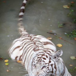 ���� �����, ������, 47 ��� - ��������� 10 ������� 2026