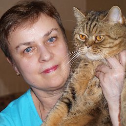 ������, �����-���������, 73 ����