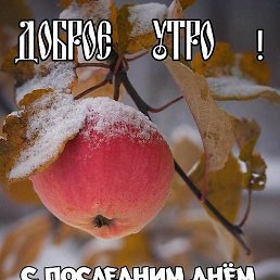 ����, ������, 53 ����