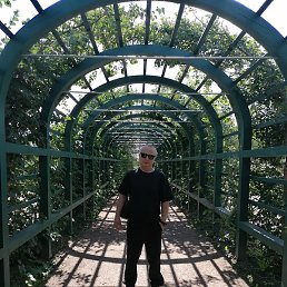 ����, ����������, 41 ���