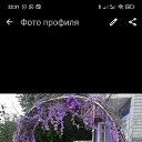 ���� �����, ����, 66 ��� - ��������� 10 ���� 2025 � ������ ���� ����������