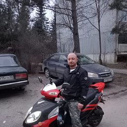, 41, 