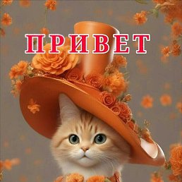 ����, ������, 37 ���