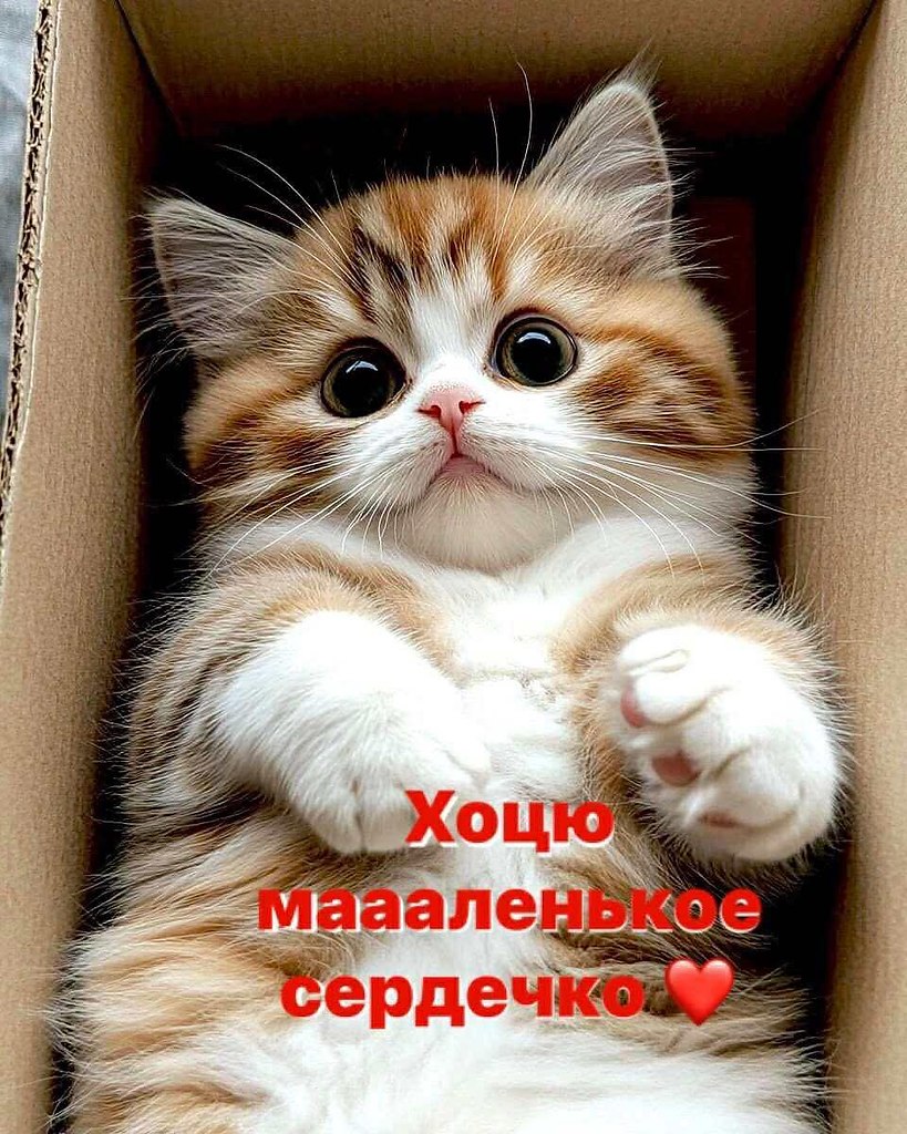 :)