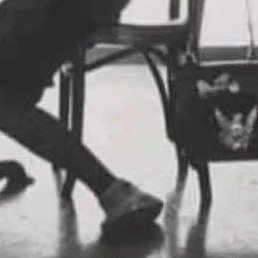 ����������., ������, 37 ���