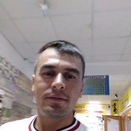 , 43, 