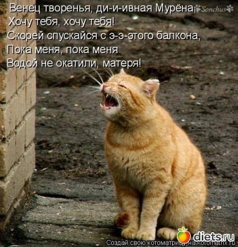  - 5  2024  20:17