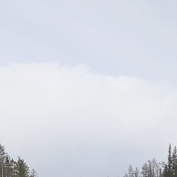 Ը���, ������, 50 ���