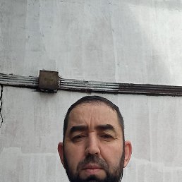 , 46 , 