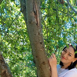 �����, �����������, 54 ����