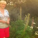 ���� **������**, ����� - ��������� 8 ������� 2025 � ������ ���� ����������