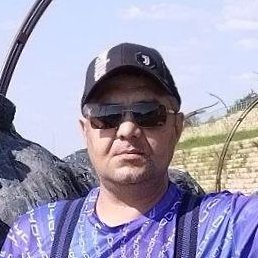 , , 50 