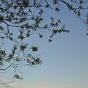 ���� �������, ���������, 62 ���� - ��������� 9 ���� 2024 � ������ ���� ����������