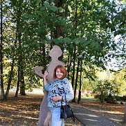 �����, 33 ����, ������������