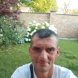 ���� �������, �������, 48 ��� - ��������� 24 ������ 2026