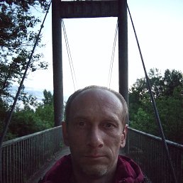 , 41, 