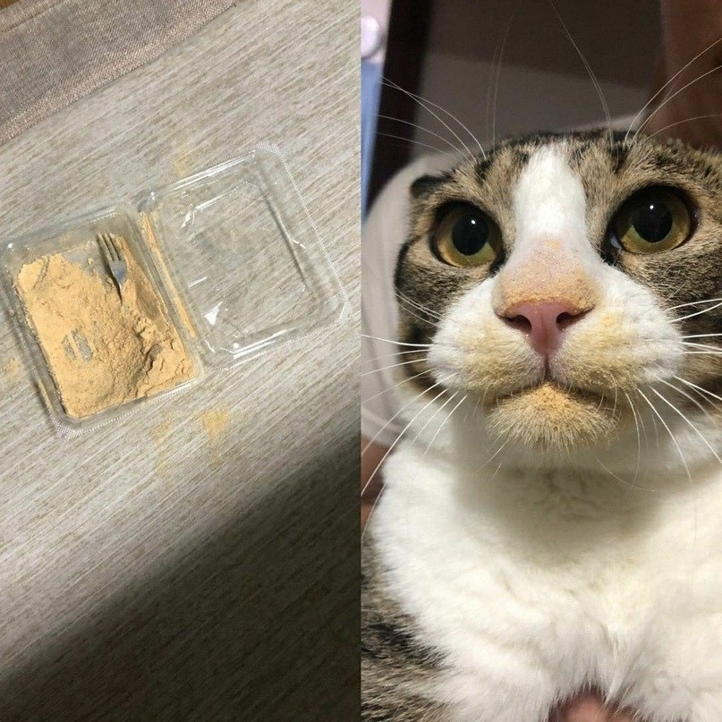   ?
