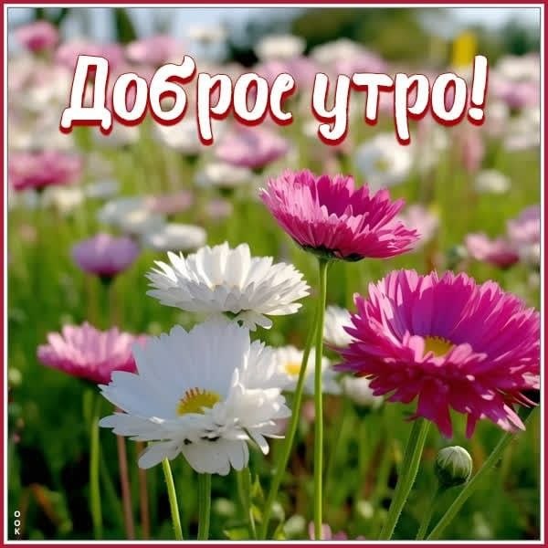   ,   ,    - , ...        ...