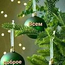 ���� ������, �������-���������, 49 ��� - ��������� 5 ������ 2024