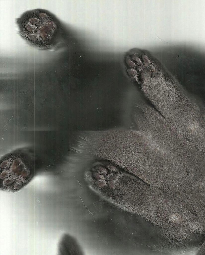      - 2