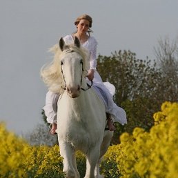 ���� Liya, ������, 42 ���� - ��������� 14 ��� 2024