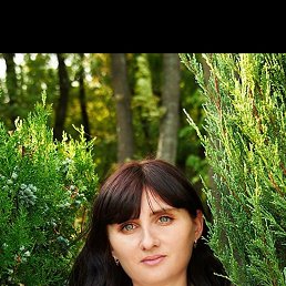 , 38, 