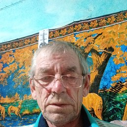 , 61 , 