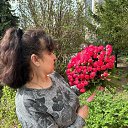 ���� ����, ������ - ��������� 16 ���� 2026 � ������ ���� ����������