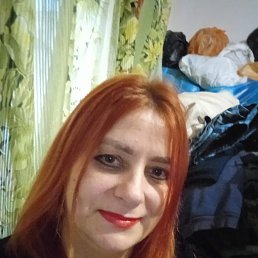 , 43 , 