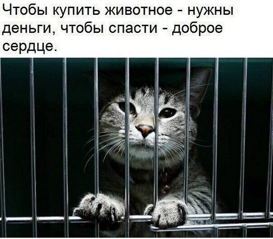 ? ,  ! - 8  2025  22:33