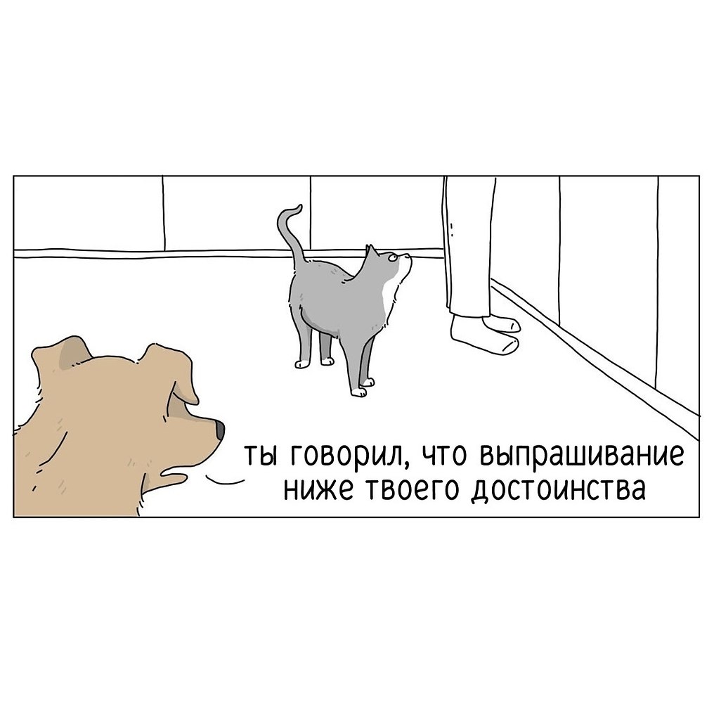  - 8  2025  10:38
